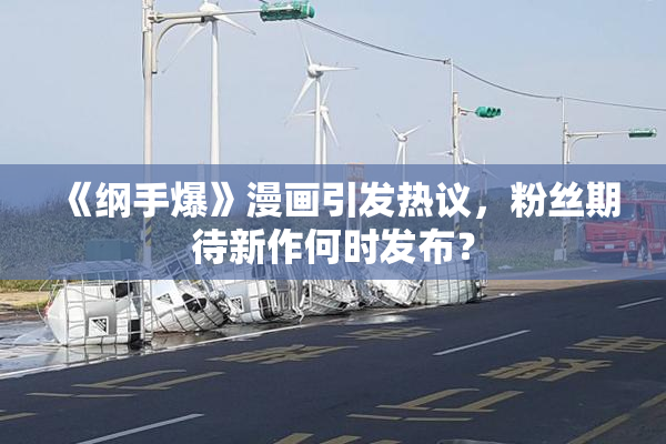 《纲手爆》漫画引发热议，粉丝期待新作何时发布？