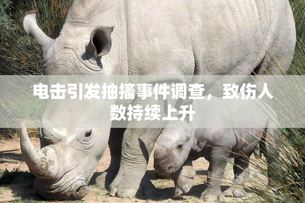 电击引发抽搐事件调查，致伤人数持续上升