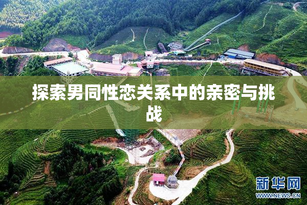 探索男同性恋关系中的亲密与挑战