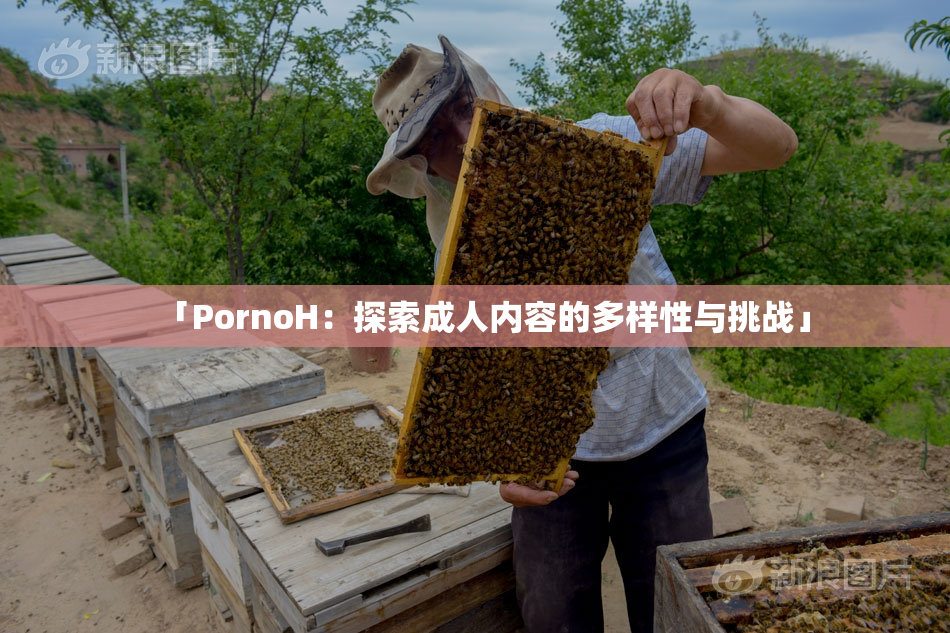 「PornoH：探索成人内容的多样性与挑战」