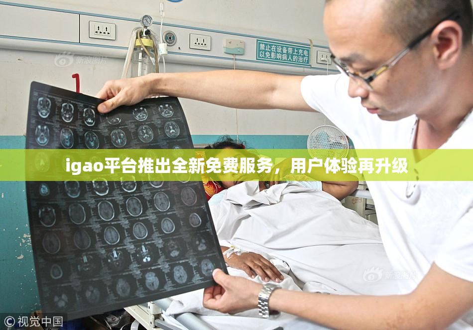 igao平台推出全新免费服务，用户体验再升级