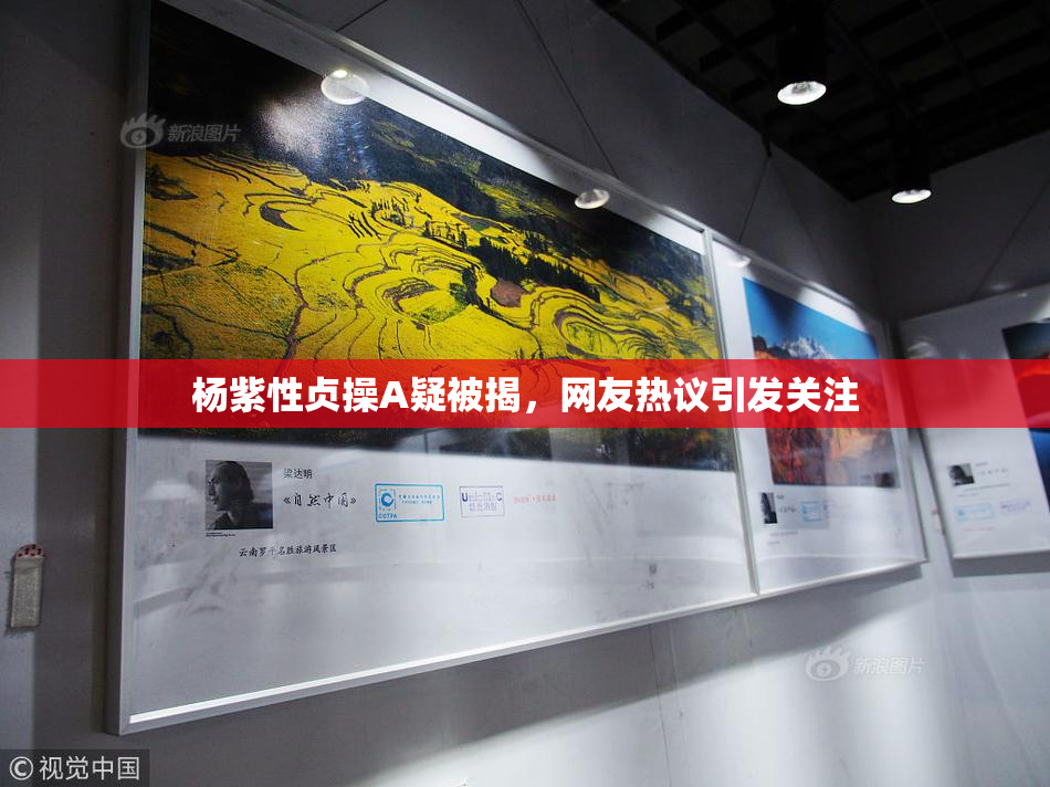 杨紫性贞操A疑被揭，网友热议引发关注