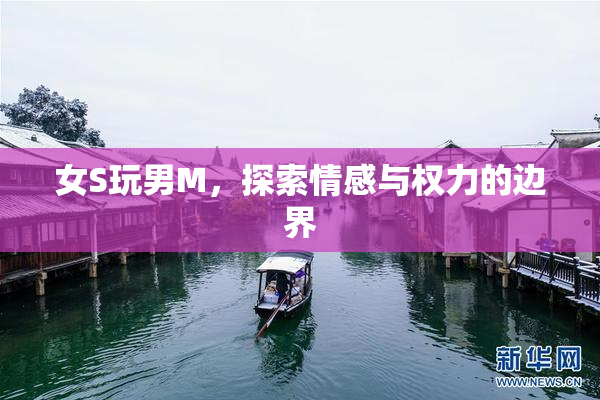 女S玩男M，探索情感与权力的边界