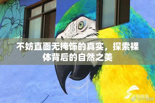 不妨直面无掩饰的真实，探索裸体背后的自然之美