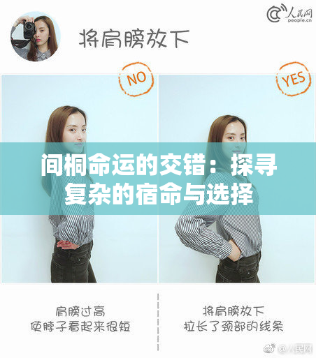 间桐命运的交错：探寻复杂的宿命与选择
