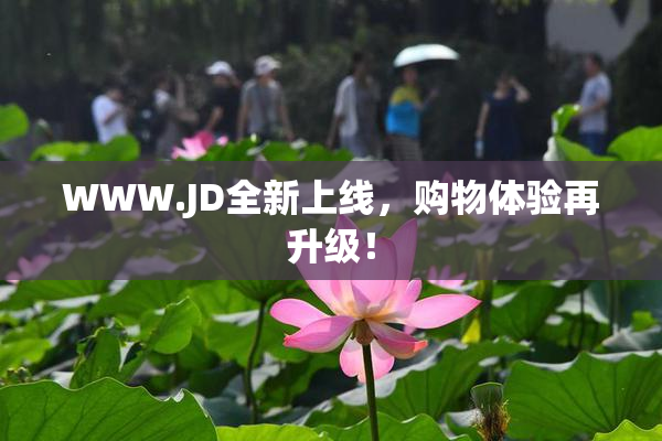 WWW.JD全新上线，购物体验再升级！