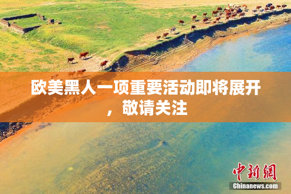 欧美黑人一项重要活动即将展开，敬请关注