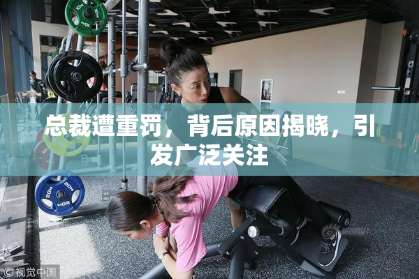 总裁遭重罚，背后原因揭晓，引发广泛关注