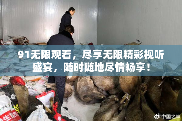 91无限观看，尽享无限精彩视听盛宴，随时随地尽情畅享！