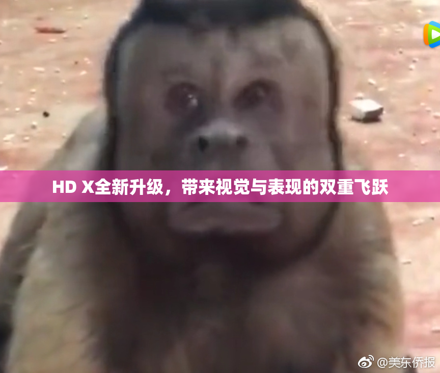 HD X全新升级，带来视觉与表现的双重飞跃