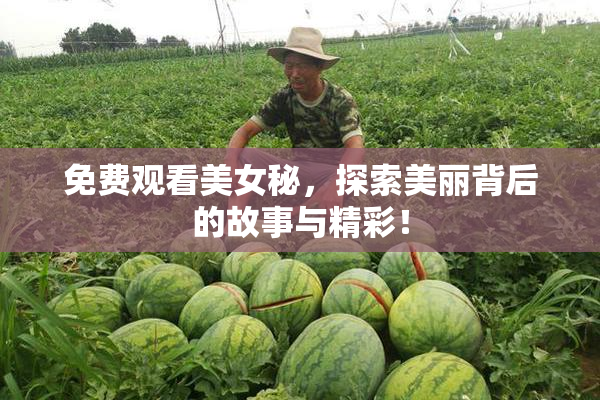 免费观看美女秘，探索美丽背后的故事与精彩！