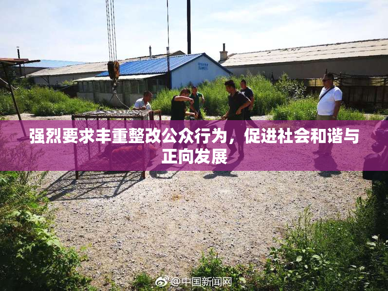 强烈要求丰重整改公众行为，促进社会和谐与正向发展