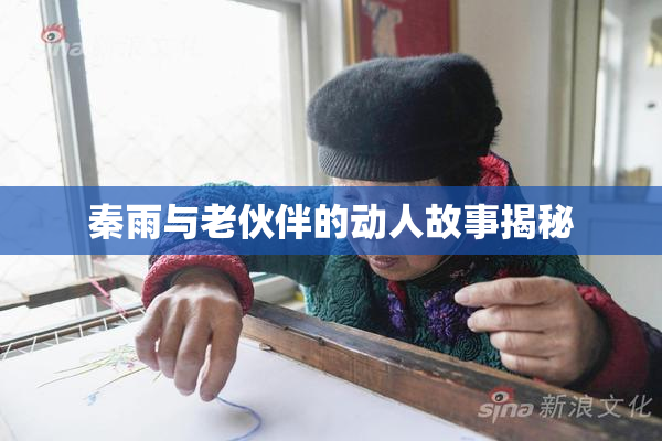 秦雨与老伙伴的动人故事揭秘