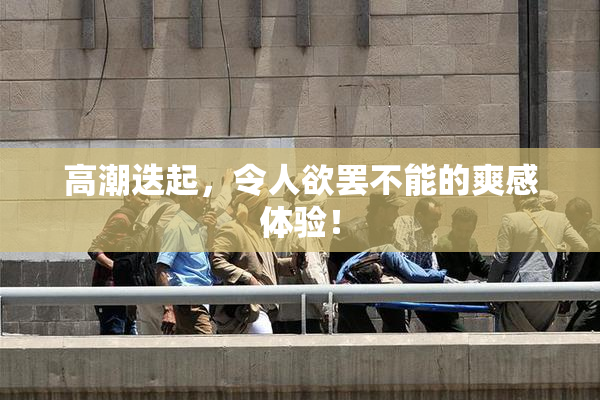 高潮迭起，令人欲罢不能的爽感体验！
