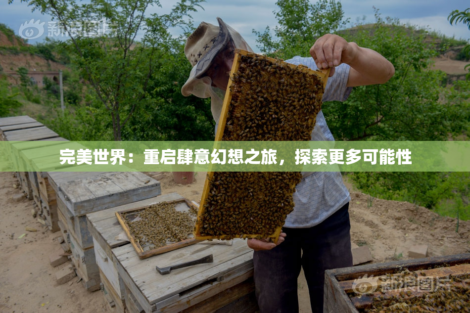 完美世界：重启肆意幻想之旅，探索更多可能性