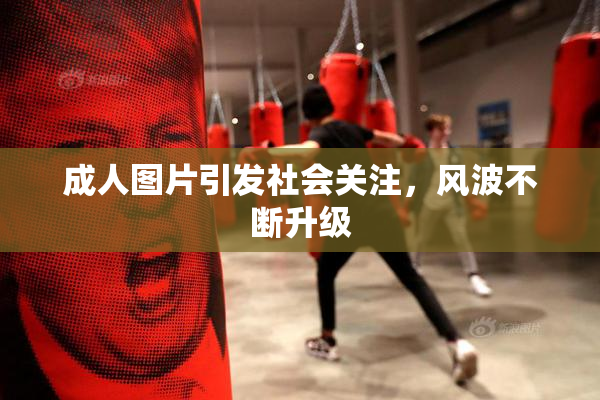 成人图片引发社会关注，风波不断升级