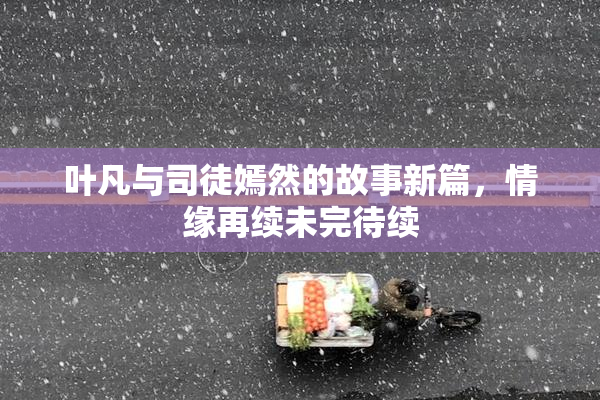 叶凡与司徒嫣然的故事新篇，情缘再续未完待续