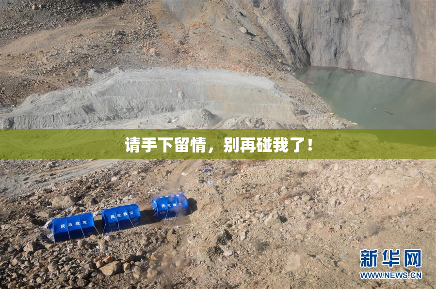 请手下留情，别再碰我了！