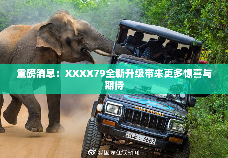 重磅消息：XXXX79全新升级带来更多惊喜与期待