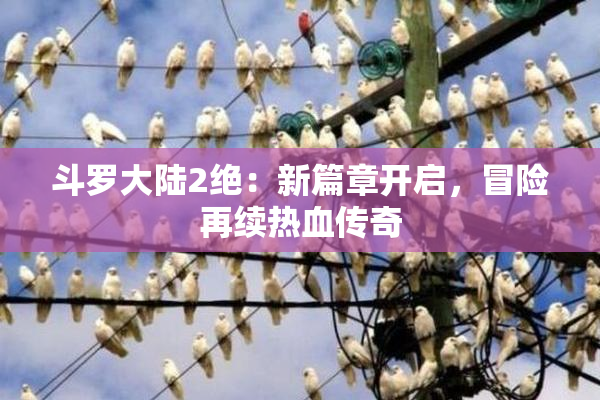 斗罗大陆2绝：新篇章开启，冒险再续热血传奇