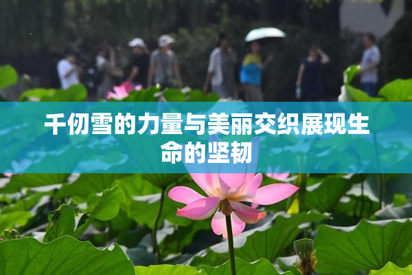 千仞雪的力量与美丽交织展现生命的坚韧