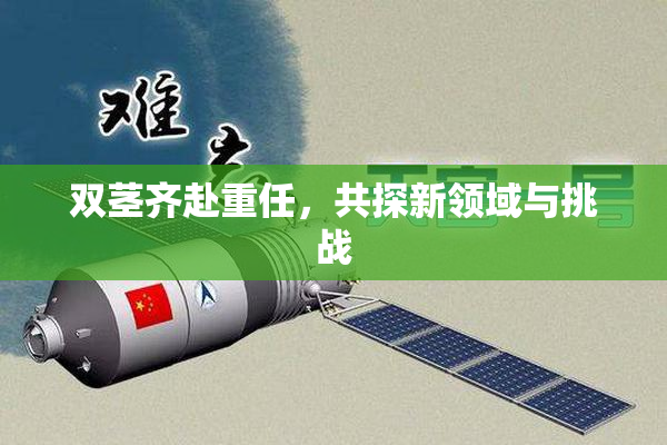双茎齐赴重任，共探新领域与挑战