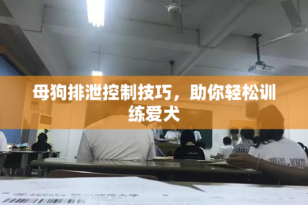 母狗排泄控制技巧，助你轻松训练爱犬