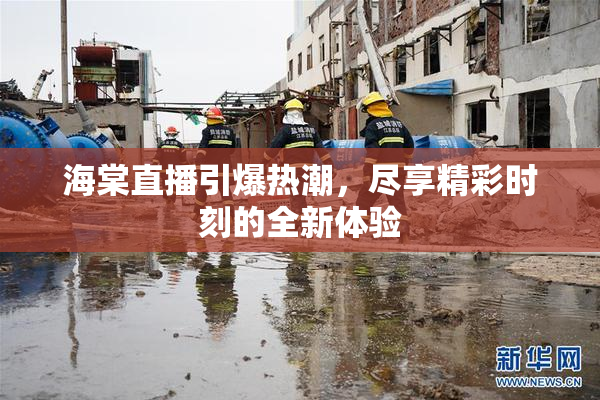 海棠直播引爆热潮，尽享精彩时刻的全新体验