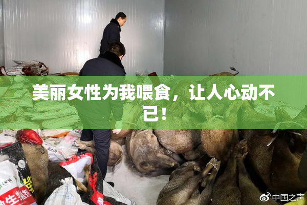 美丽女性为我喂食，让人心动不已！