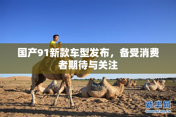 国产91新款车型发布，备受消费者期待与关注