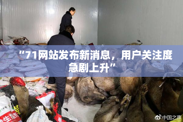 “71网站发布新消息，用户关注度急剧上升”