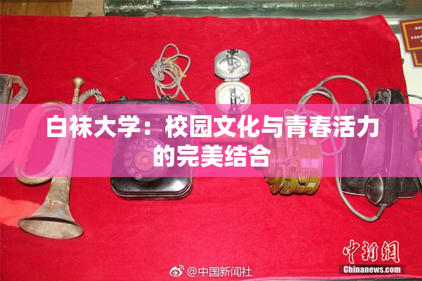 白袜大学：校园文化与青春活力的完美结合