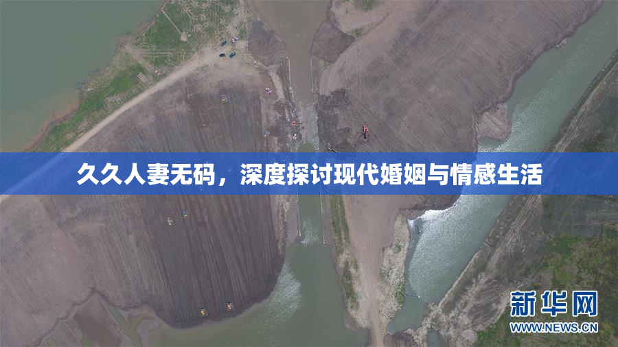 久久人妻无码，深度探讨现代婚姻与情感生活