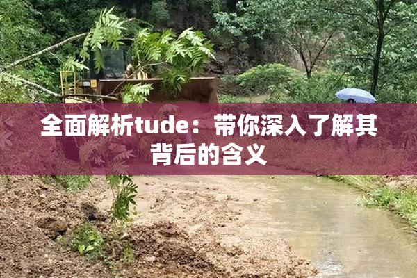 全面解析tude：带你深入了解其背后的含义