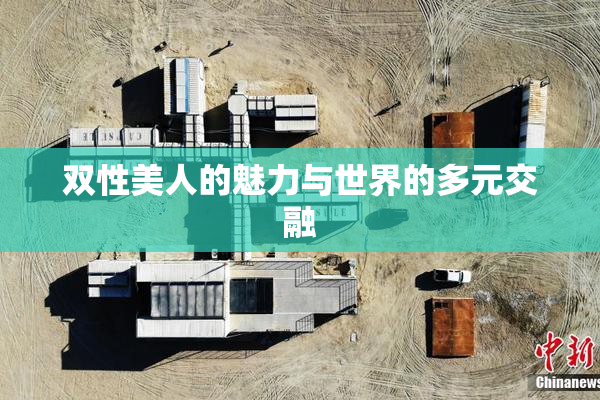双性美人的魅力与世界的多元交融