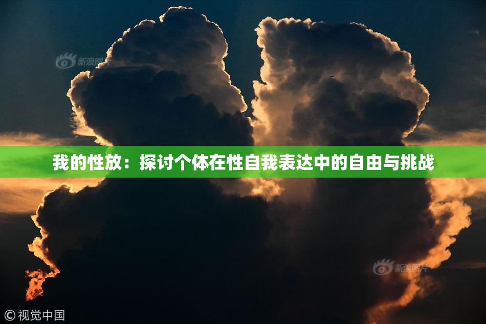 我的性放：探讨个体在性自我表达中的自由与挑战