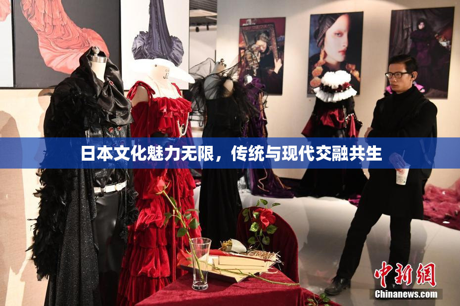 日本文化魅力无限，传统与现代交融共生