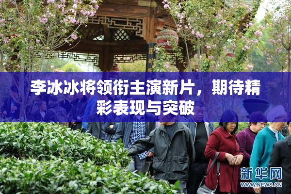 李冰冰将领衔主演新片，期待精彩表现与突破