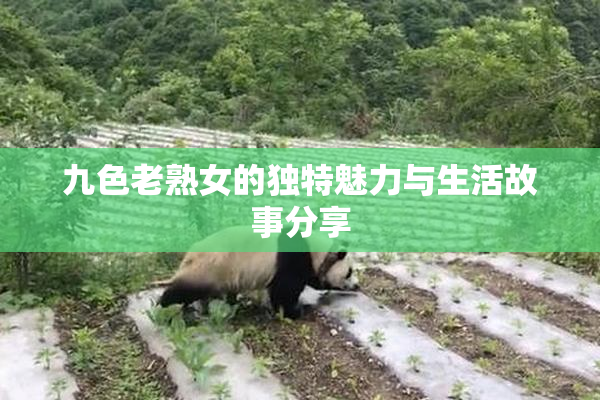 九色老熟女的独特魅力与生活故事分享