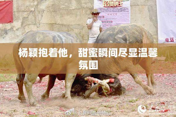 杨颖抱着他，甜蜜瞬间尽显温馨氛围