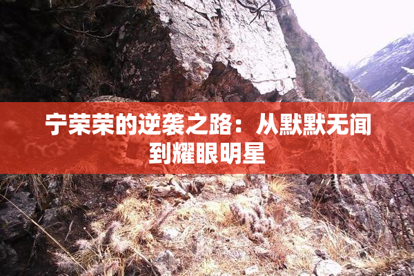 宁荣荣的逆袭之路：从默默无闻到耀眼明星