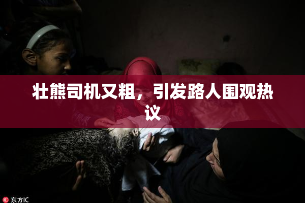 壮熊司机又粗，引发路人围观热议