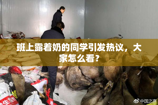 班上露着奶的同学引发热议，大家怎么看？
