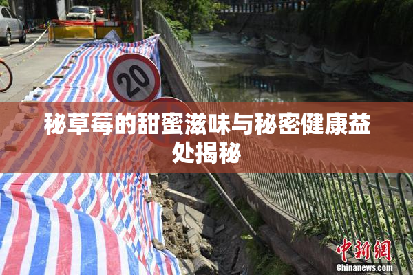 秘草莓的甜蜜滋味与秘密健康益处揭秘