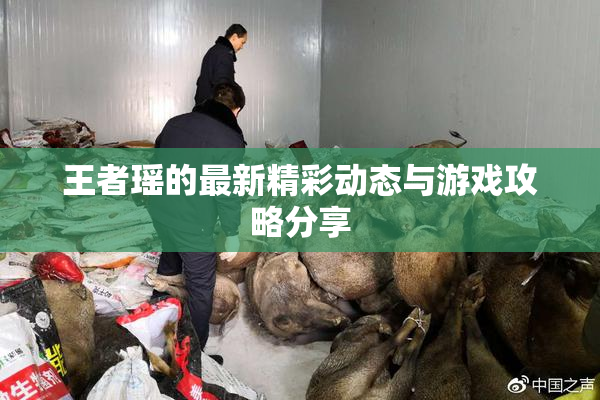 王者瑶的最新精彩动态与游戏攻略分享