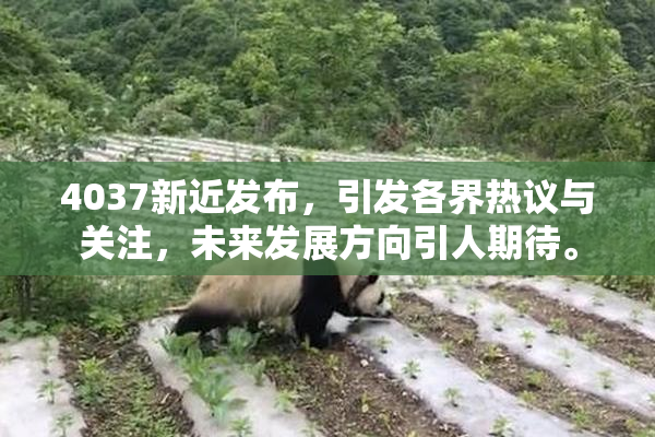 4037新近发布，引发各界热议与关注，未来发展方向引人期待。