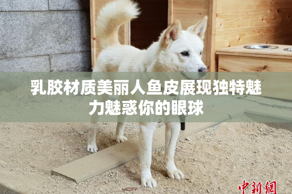乳胶材质美丽人鱼皮展现独特魅力魅惑你的眼球