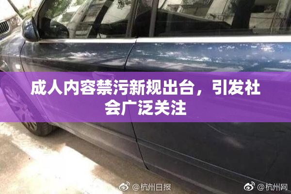 成人内容禁污新规出台，引发社会广泛关注