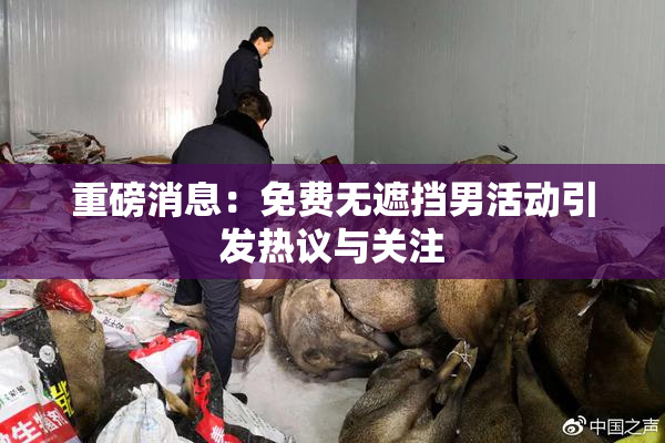 重磅消息：免费无遮挡男活动引发热议与关注