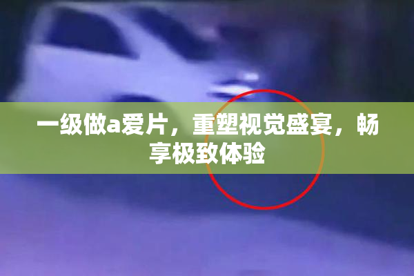 一级做a爱片，重塑视觉盛宴，畅享极致体验